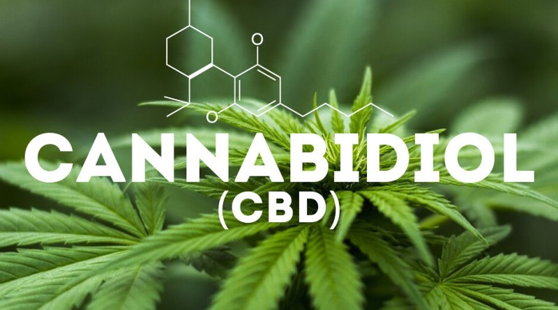 A Brief Introduction to CBD