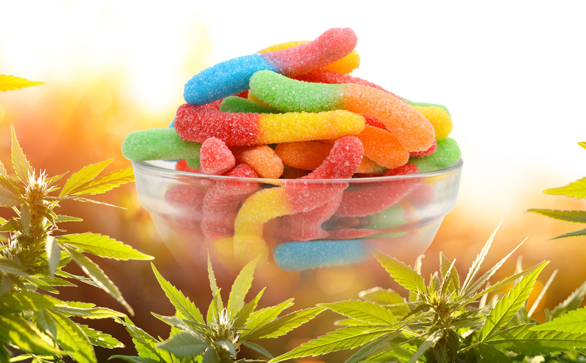 Every little thing You Might  Know Before Consuming CBD Edibles