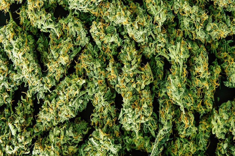 Vancouver Pot Stores