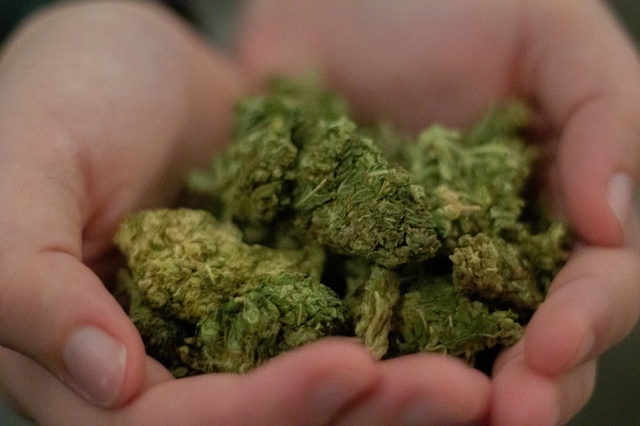 indoor cannabis delivery