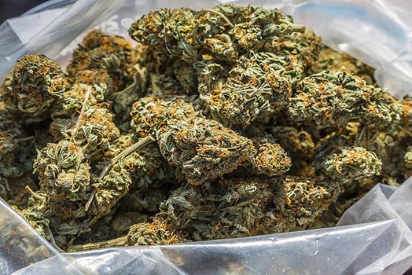 Cannabis Dispensary