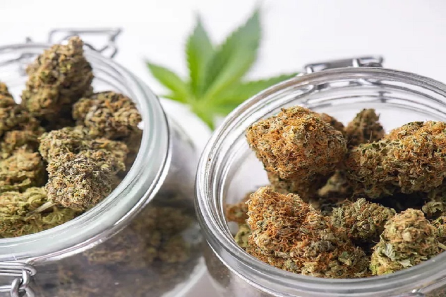 online dispensary canada