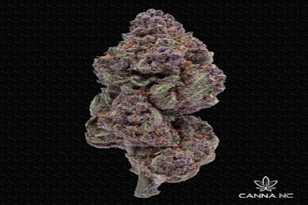 Unlocking the Power of THCa Flower – CANNA NC