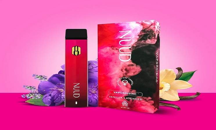 A Guide to Buying Vapes for Female Pleasure Online at nuudpleasures.com