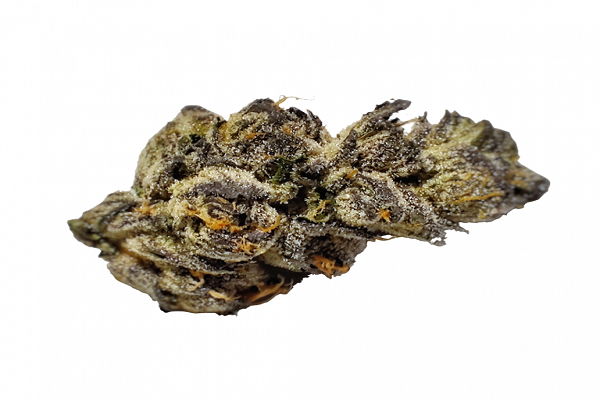 white runtz strain