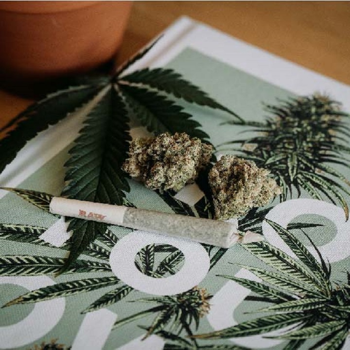 cannabis content marketing