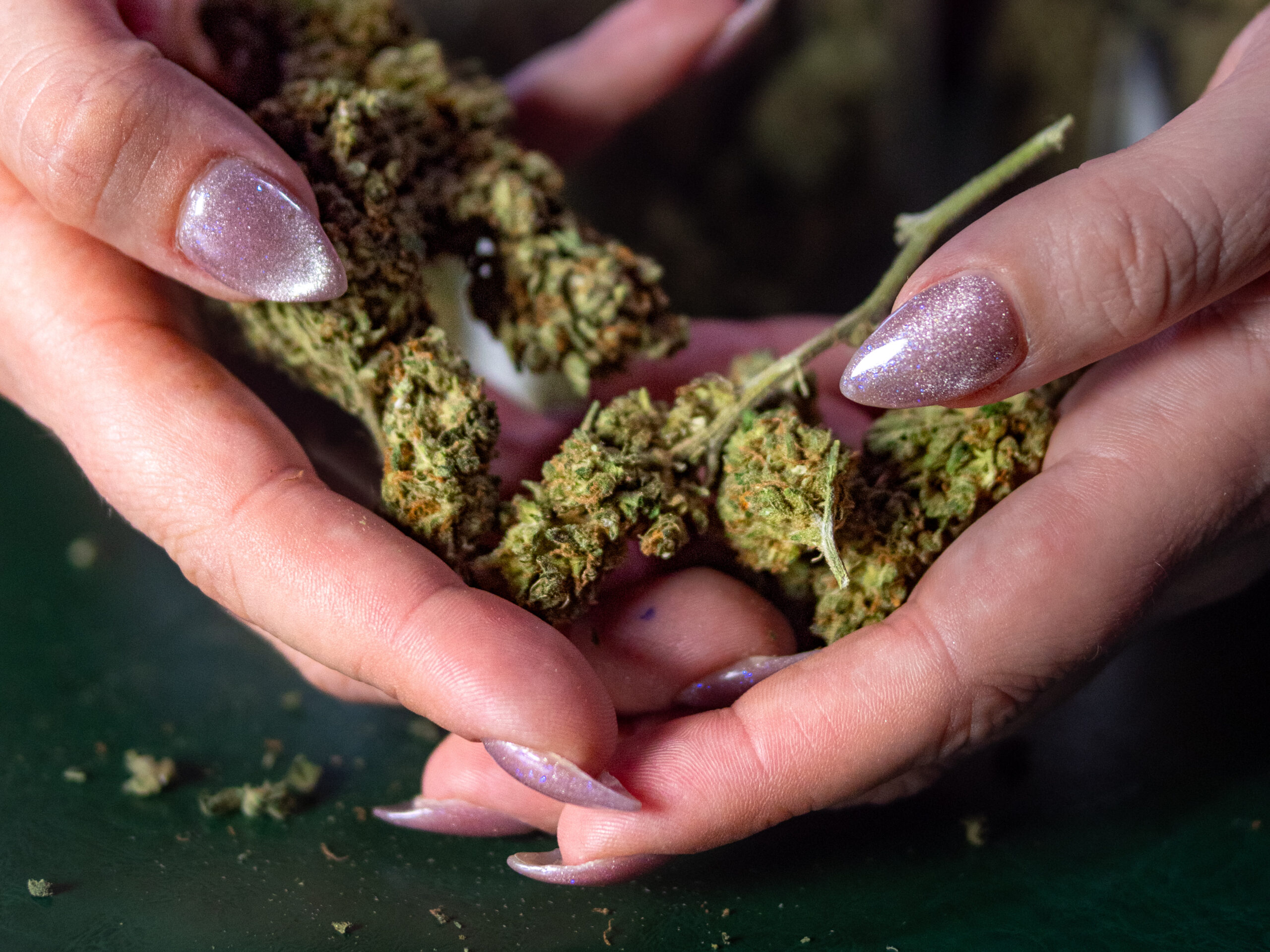 cannabis club in Madrid