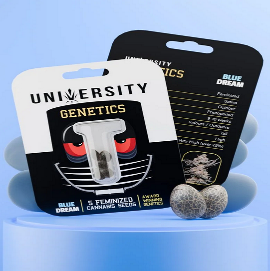 A Calm, Practical Guide to Buying Cannabis Seeds From Trap University